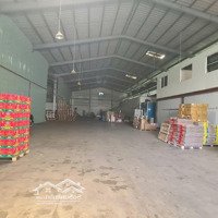 Cho Thuê Xưởngdiện Tích1000M2 Giá 70 Triệucó Thương Lượngvĩnh Phú Thuận An