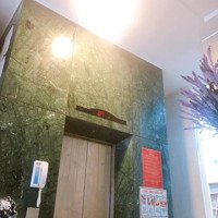 Rẻ Nhất Dakao!! Villa Kết Hợp Văn Phòng (9.5X15M) Oto Đậu Trước Nhà, Có Thang Máy