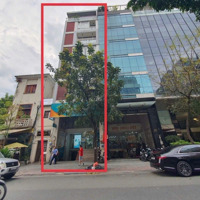Mặt Tiền 167 Ký Con, Phường Nguyễn Thái Bình, Quận 1 ( 7Mx18M) Hầm. 8 Lầu. Giá Bán 95 Tỷ Tl