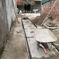 Xuân Canh, Đông Anh. Chân Cầu Tứ Liên, Hàng Xóm Vin Cổ Loa
