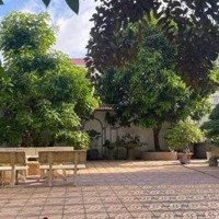 Bán Nhà Diện Tích Khủng 150M2, 10X15, 4 Tầng, Có Sân Để Oto, Chỉ 10 Tỷ