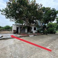 Hàng Hiếm Rẻ 60M Trục Chính Tái Định Cư Đường 15M Cả Vỉa Hèmặt Tiền5M Bình Yên Hoà Lạc 0985508526