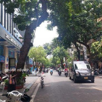 Mặt Phố Bà Triệu, 267M2, 4 Tầng, Mặt Tiền 9M, 250 Tỉ
