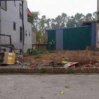 Đất Mai Nội, Mai Đình, Sóc Sơn: Lô Góc, Ô Tô Tải Tránh Nhau, 90M2, 5M Mặt.
