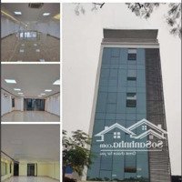 Cho Thuê Văn Phòng Võ Chí Công, Tây Hồ 60M2 6 Triệu/Th, 100M2 10 Triệu/Th, 150M2 11 Tr/Th, 8 Triệu/Th 80M2