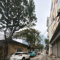 Đất Vàng Xây Căn Hộ Dịch Vụ Nhật Tảo- Ngõ Ô Tô Đỗ Cửa - Giáp Kđt Ciputra- An Dương Vương 160M2