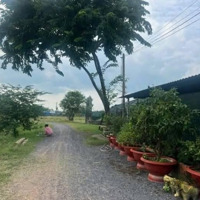 Đất Ngộp Ngân Hàng, Cần Bán Gấp, Giá Nào Cũng Bán