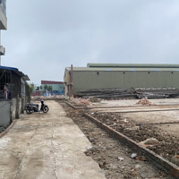 Bán Lô Đất Đẹp, Lô Góc Bạch Mai, Đồng Thái, An Dương