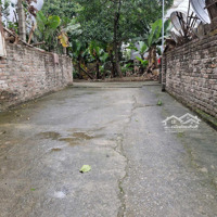 Bán Đất Tại Đường Thái Bình, Xã Mai Lâm, Đông Anh, Hà Nội, 4,13 Tỷ, 65 M2