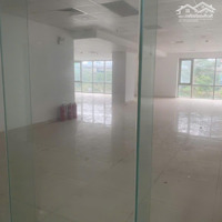 Shop Khối Đê - B202 - 229M2 - Tại Ia20 Ciputra - Giá Ưu Đãi Chỉ Từ 4Xtr