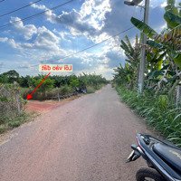 Bán Đất Vườn Xã Cây Gáo, Trảng Bom Mặt Tiền Nhựa Giá Đầu Tư 360 Triệu/Sào Alo Cho Vượng Liên Hệ: 0379539579
