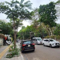 Bán Biệt Thự Hiếm Nam Trung Yên, 180M,Mặt Tiền12M, Cả Khu Có Vài Căn