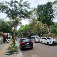 BÁN BIỆT THỰ HIẾM NAM TRUNG YÊN, 180M, MT 12M, CẢ KHU CÓ VÀI CĂN