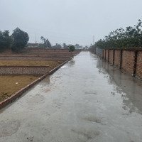 Bán Đất Chính Chủ Tại Phú Cát, Quốc Oai