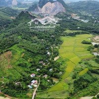 Bán Đất Tại Đường 6, Tân Vinh, Lương Sơn, Hòa Bình, Giá Cực Chất 3,8 Triệu / M2, 3000 M2