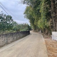 555M Tại Nhuận Trạch Lượng Sơn , Giáp Khu Công Nghiệp, (Giá Nhỉnh 3 Tỷ)