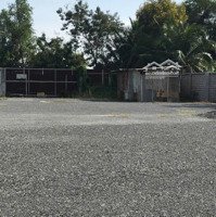 Bán Đất Thổ Cư Giá Rẻ Tại Bình Chánh 2000M2 Gần Vành Đai 3