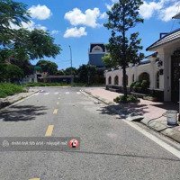 - Rẻ Nhất Đất Đấu Giá Suối Rồng Ngọc Xuyên Đồ Sơn.