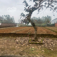 Bán Đất Tại Tđc Vai Réo, Phú Cát, Quốc Oai, Hà Nội - Giá Bán 37 Triệu/M2, Diện Tích 106M2