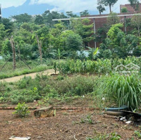 Bán Đất Vuông Đẹp Tại Thạch Hòa, Giá Bán 19 Triệu/M2, Diện Tích 81.1M2