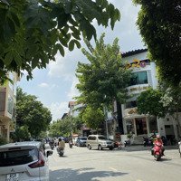 Cho Thuê Villa Mặt Tiền Phan Xích Long - Hoa Đào Có Hầm - 85 Triệu