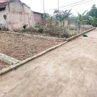 Chính Chủ Cần Bán 47M2 Đất Trạch Mỹ Lộc. Gần Đấu Giá Dộc Tranh. Đường Ô Tô. Giá Chỉ 1.08 Tỷ