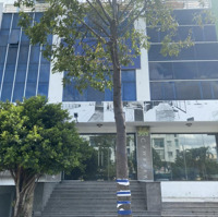 Cho Thuê Văn Phòng Đường Trần Não, Quận 2 - 150M - 40 Triệu/Tháng - Liên Hệ 0971079192