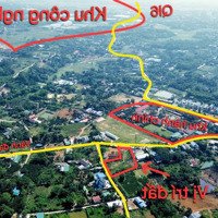 Lô Đất Với Diện Tích 347M2 Trong Đó Có 50M2 Đất Ở, Diện Tích Còn Lại Là Đất Cây Lâu Năm