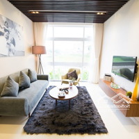 Cho Thuê Cc An Gia Garden, 10 Triệu, 65M2, 2 Phòng Ngủ 2 Vệ Sinhsiêu Hot