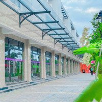 Bán Nhanh Shophouse Eco Garden Huế Đã Hoàn Thiện Cơ Bản Để Kinh Doanh Giá Tốt Chỉ 6,7 Tỷ