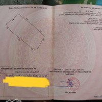 Chính Chủ Gửi Bán 4400M2 Tại Thôn Sấu Hạ, Xã Thanh Lương, Lương Sơn - Hoà Bình