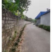 Chính Chủ Gửi Bán 4400M2 Tại Thôn Sấu Hạ, Xã Thanh Lương, Lương Sơn - Hoà Bình