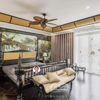 Căn Góc An Vượng Dương Nội 250M2 Hơn 50 Tỷ