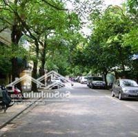 Mặt Phố Châu Long, 595M2 2 Tầng, Mặt Tiền 24M, 178 Tỉ
