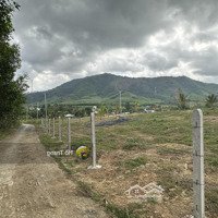 Bán Mảnh Khánh Phú, Ngã Ba Nước Nhĩ.diện Tích4030M2 Tiếp Giáp Đường 200M