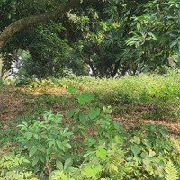 Đất Bám Hồ Đồng Sương View Đẹp