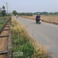 Bán Đất Trồng Cây Lâu Năm Có Thể Xin Lên Thổ Cư