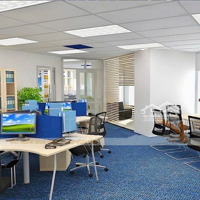 Tòa Nhà Vp - 7 Tầng + Hầm + Thang Máy - Dòng Tiền 4 Tỷ/Năm - Vị Trí Nhiều Tòa Nhà Vp Cty