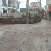 Bán Gấp Đất Tại Mai Hiên, Mai Lâm, Đông Anh, Hà Nội, 3,95 Tỷ, 45,1M2