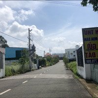 Bán Đất Chính Chủ, Tại Tam Phước, Biên Hoà, Đồng Nai. 400M2. Trong Đó Có 100M2 Thổ Cư. Shr