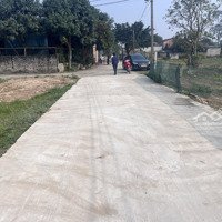 Chính Chủ Bán Lô Đất 95M Xóm Thái Thọ, Nghi Thái , Tp Vinh