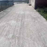 Chính Chủ Bán Lô Đất 95M Xóm Thái Thọ, Nghi Thái , Tp Vinh