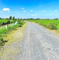 Tôi Cần Bán 4500M2 Đất Vườn Xã Thái Mỹ