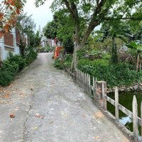 Bán Đất Nghỉ Dưỡng 1118.5M2 Tại Thanh Hà, Nam Sơn, Sóc Sơn Hà Nội
