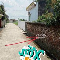 Bán Gấp Đất Tại Xã Văn Hội, Ninh Giang, Hải Dương, 5 Triệu Vnd, 232.2 M2
