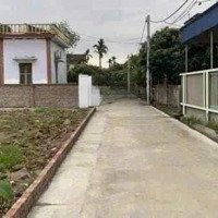 Bán Gấp Đất Tại Xã Văn Hội, Ninh Giang, Hải Dương, 5 Triệu Vnd, 232.2 M2