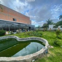 Bán Đất Rộng Đẹp, View Thoáng, Sổ Đỏ Chính Chủ Ngay Trung Tâm (Hơn 1000M2)