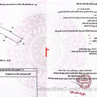 Đất Xào Tân Hưng Đồng Phú Gần Dt753 Và Đường Đồng Phú Bình