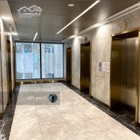 Tòa Nhà Mặt Tiền Bùi Thị Xuân Quận 1 -Diện Tích12 X 25M - Hầm 11 Tầng - Hđt 900 Triệu - Giá Bán 120 Tỷ