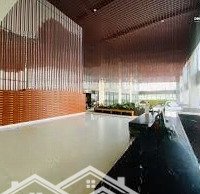 Chỉ Thanh Toán 1,6 Tỷ Sỡ Hữu Penthouse 132M2 Hàng Chủ Đầu Tư Goldora Plaza, Ngay Rmit,